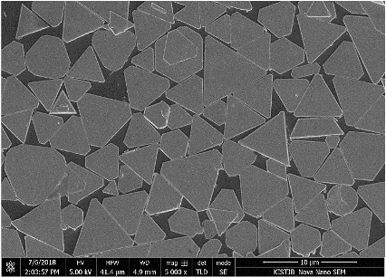 Single-crystalline copper nanosheets